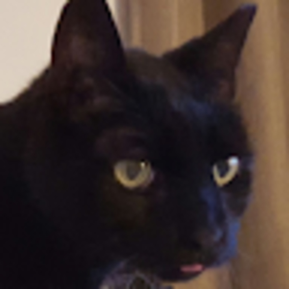 Meet your Posher, David